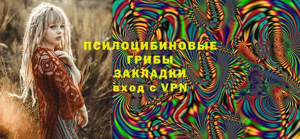хмурый Вязники